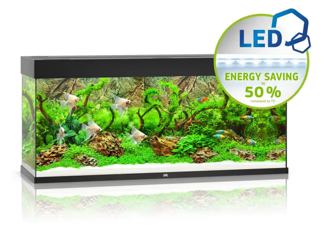 Juwel Rio 240L