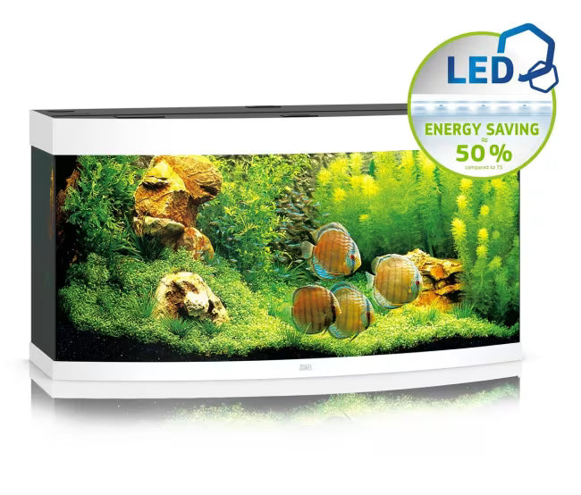 Juwel Vision 260L Buet