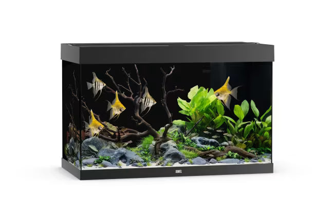 Juwel Rio 290L