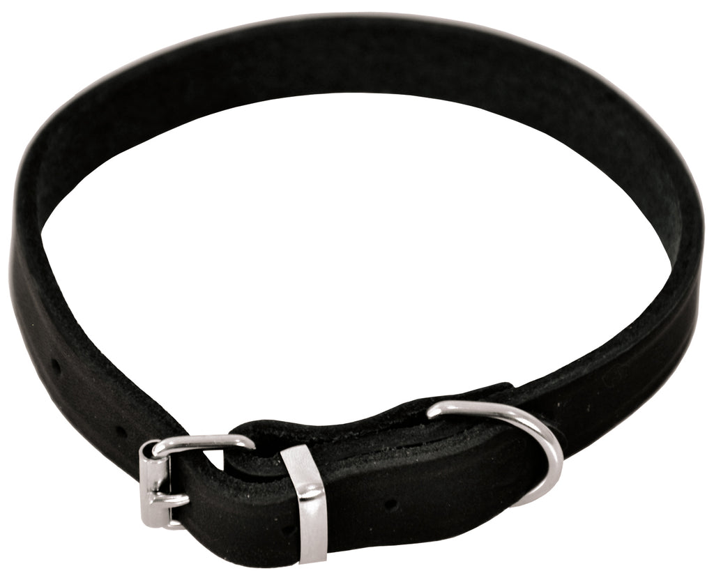 Hund - de første turene (valp)