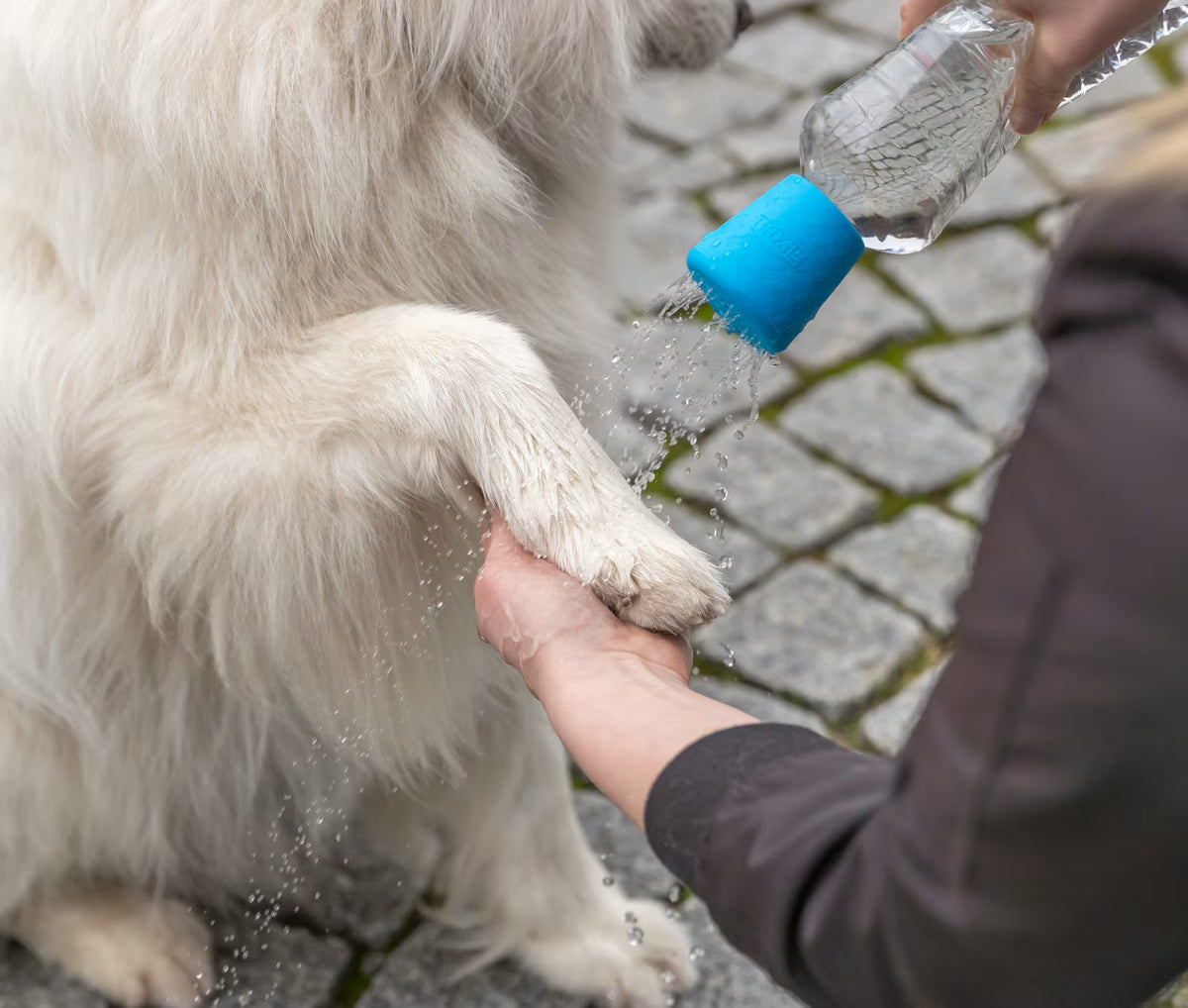 Mobil Hundedusj (Flaskehode) ø:5x5,5cm
