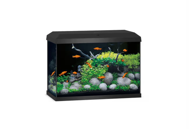 Juwel Primo 70 2.0 LED Startersett 70L Hvit