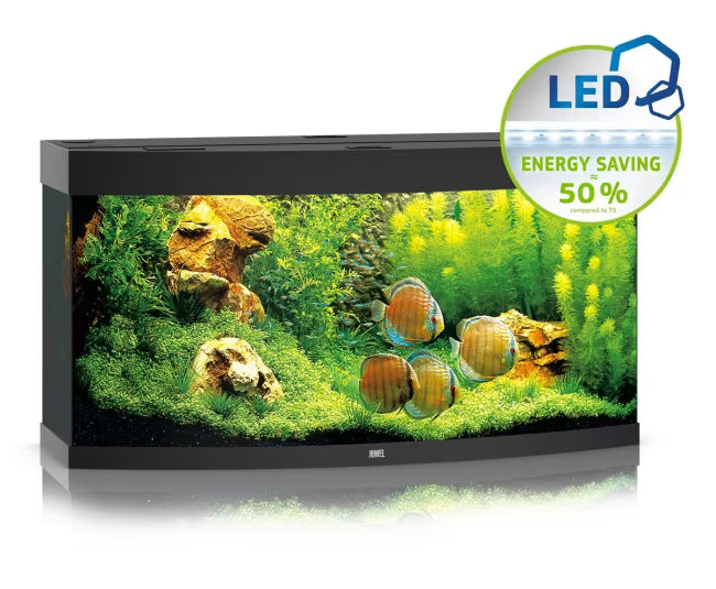 Juwel Vision 260L Buet