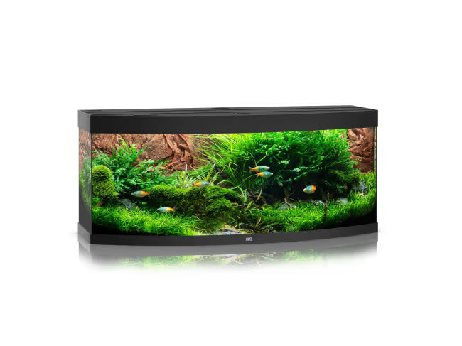 Juwel Vision 450L