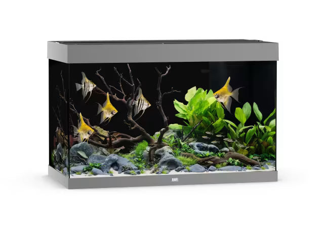 Juwel Rio 290L
