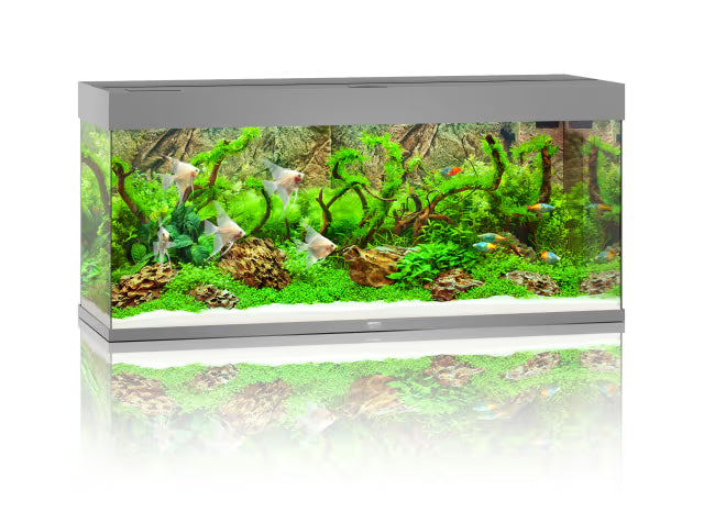 Juwel Rio 240L