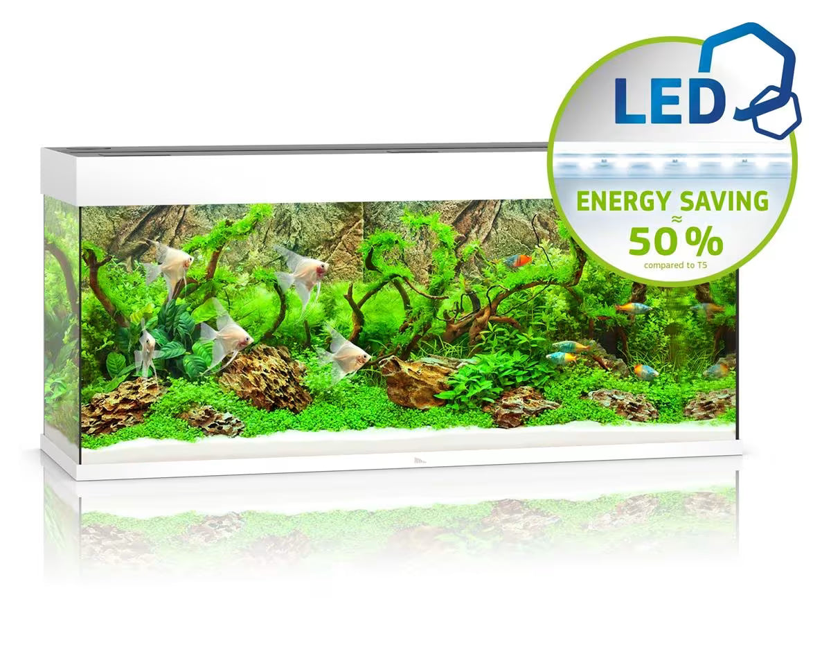 Juwel Rio 240L