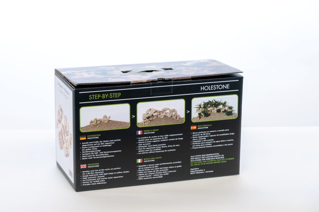 Stein Rock-Box Dragon Stone