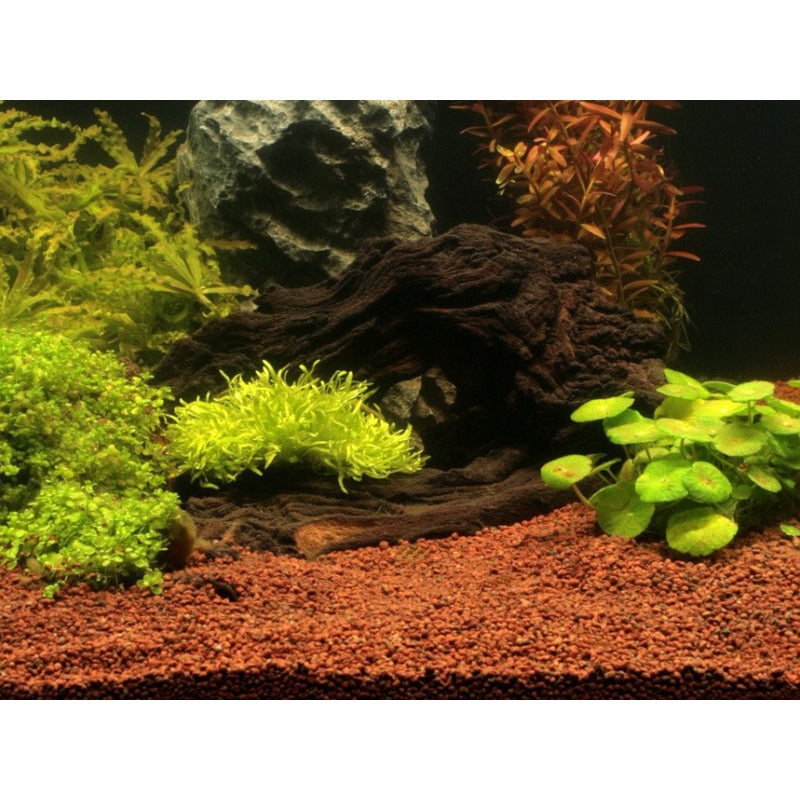 JBL Manado 3l