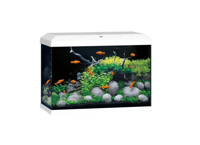 Juwel Primo 70 2.0 LED Startersett 70L Hvit
