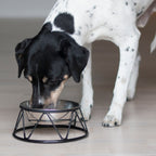 Hund - Trygg start hjemme M pakke