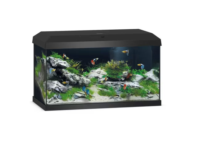 Juwel Primo 60 2.0 LED Startersett 57L Sort