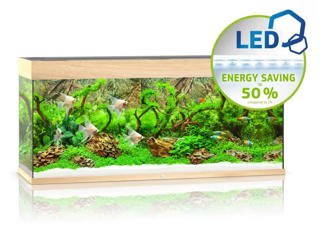 Juwel Rio 240L