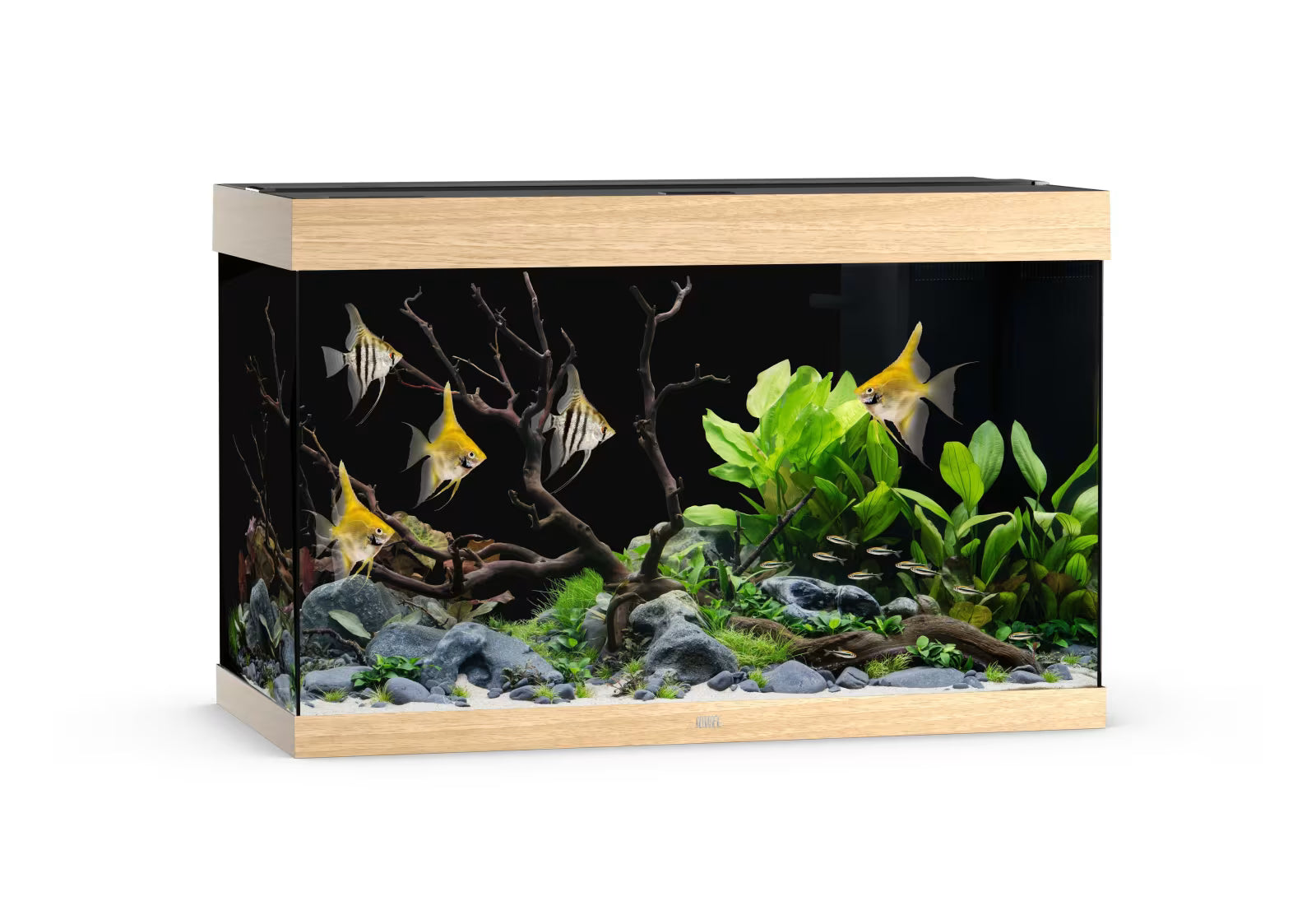 Juwel Rio 290L