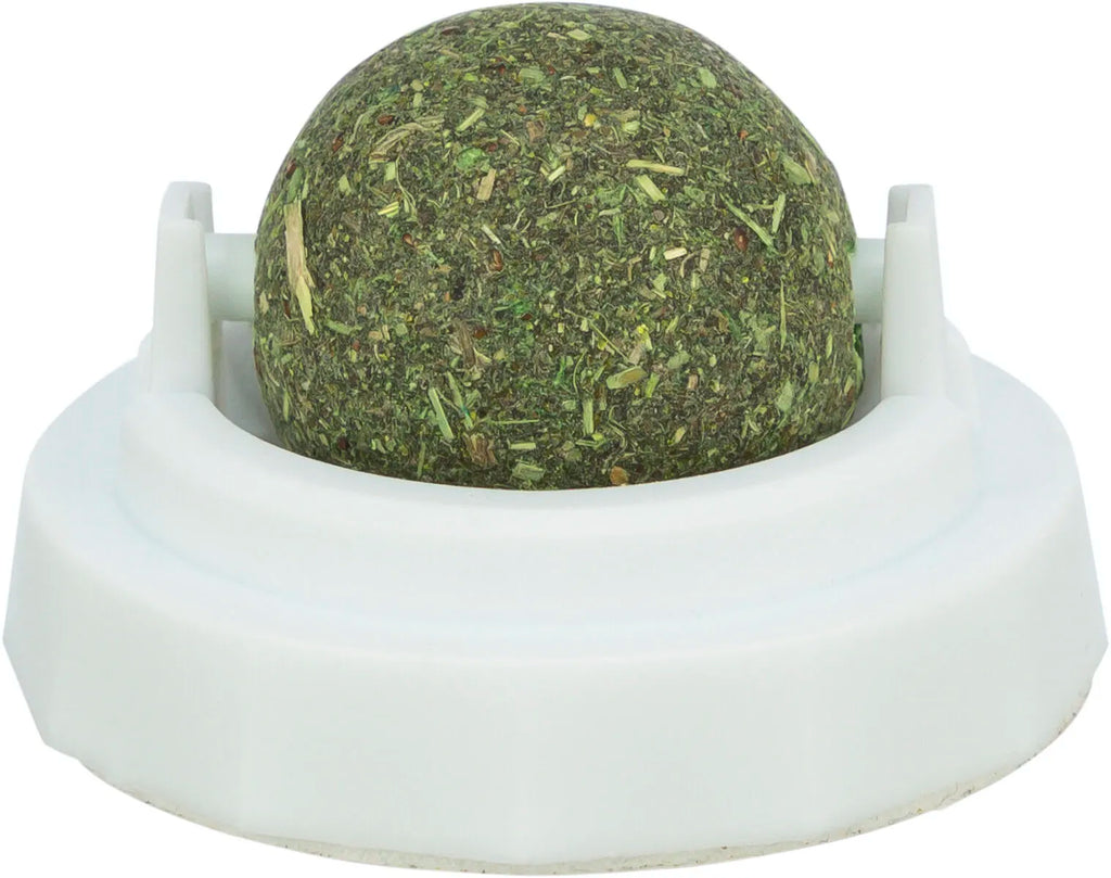 Catnip Ball M/Holder Ø5cm