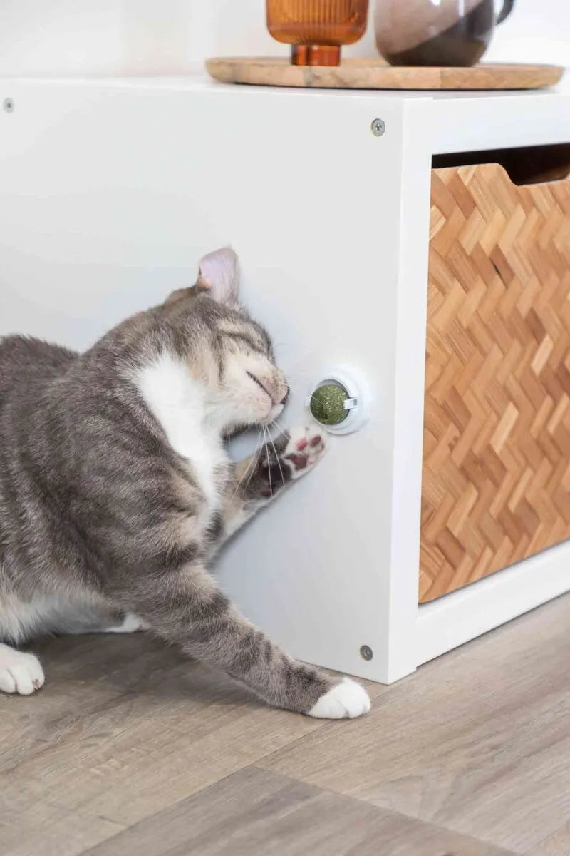Catnip Ball M/Holder Ø5cm