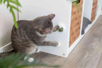 Catnip Ball M/Holder Ø5cm