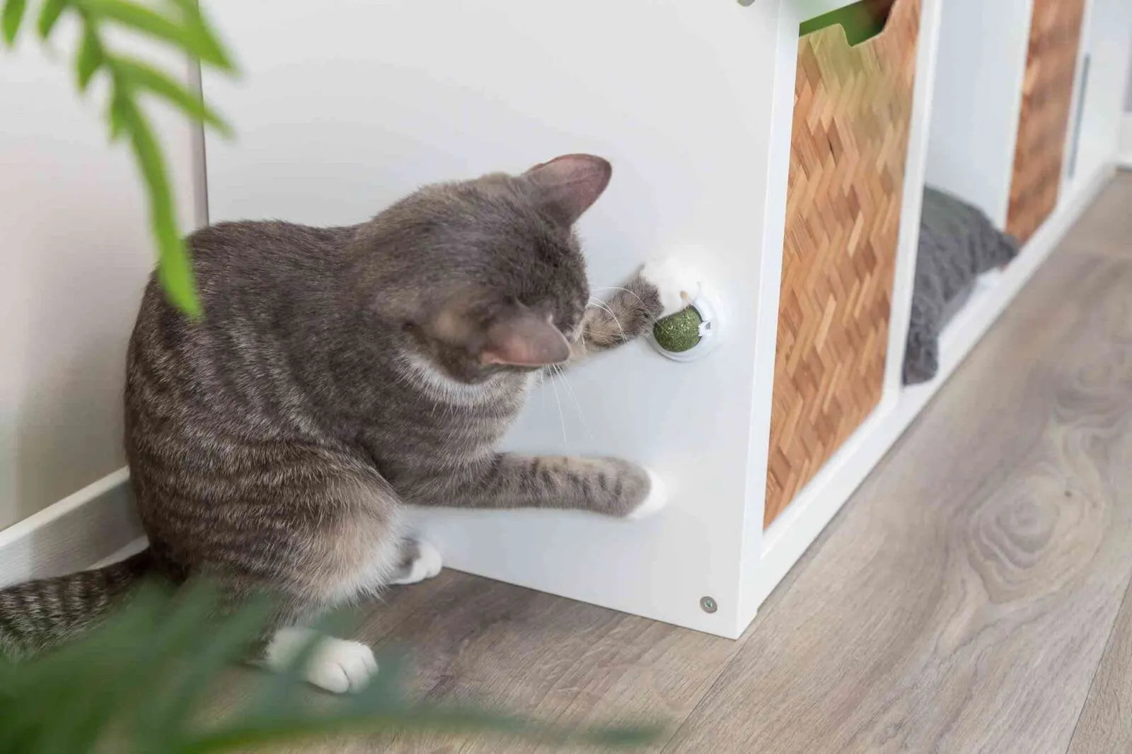 Catnip Ball M/Holder Ø5cm