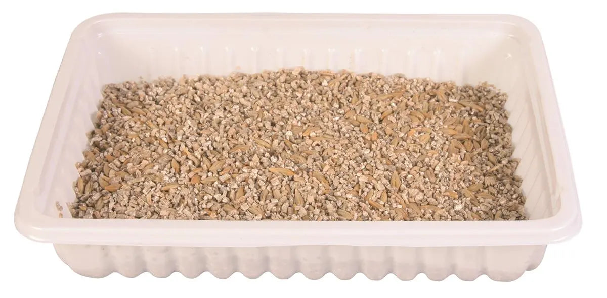 Kattegress Biologisk 100g