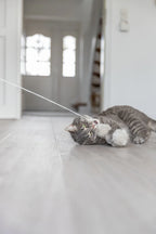 Katteleke Fiskestang M/3 Baller M/Catnip 50cm
