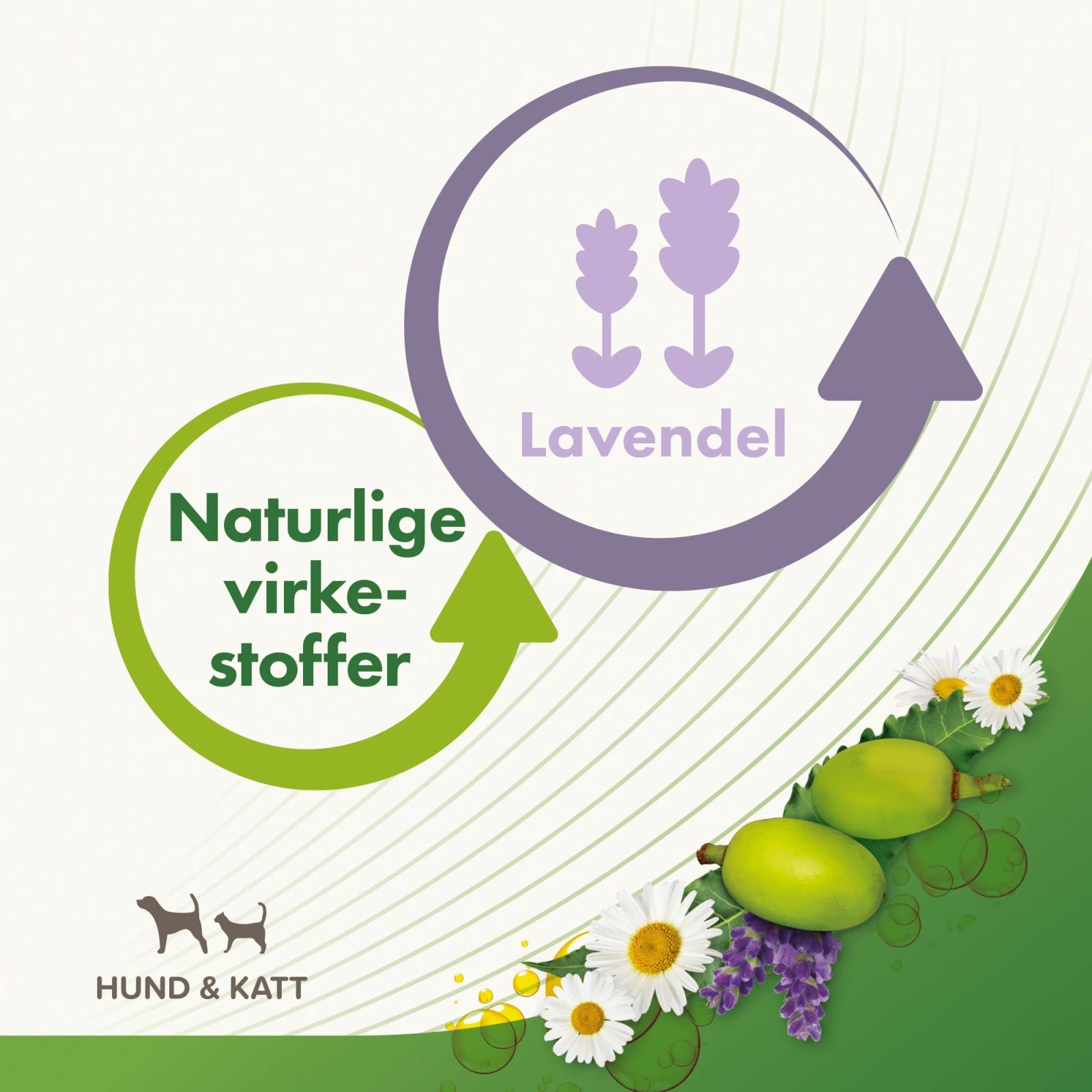 Beaphar Bio håndskum hund, katt 150ml