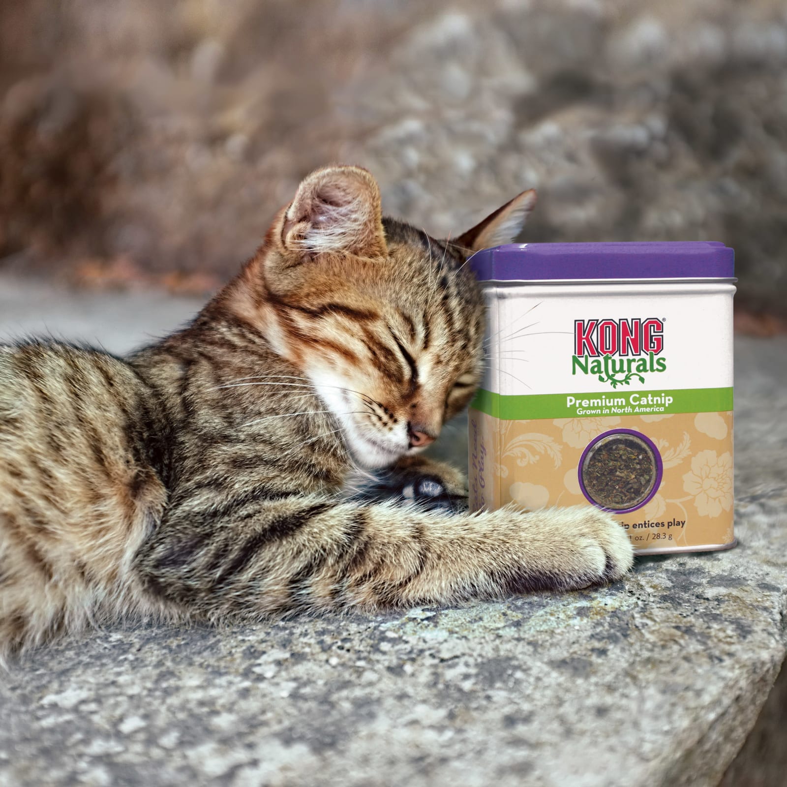 Catnip KONG Naturals