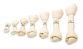 Farm Food Rawhide Dental Bone XS 15cm