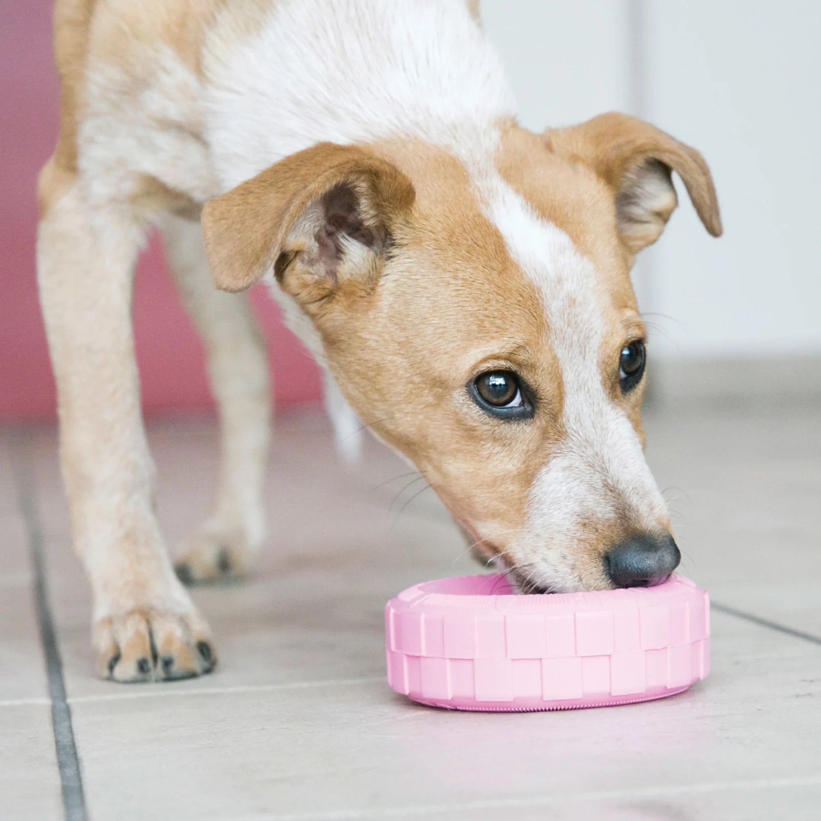 Hundeleke KONG Puppy Tire